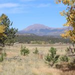 Hiking Near Buena Vista CO